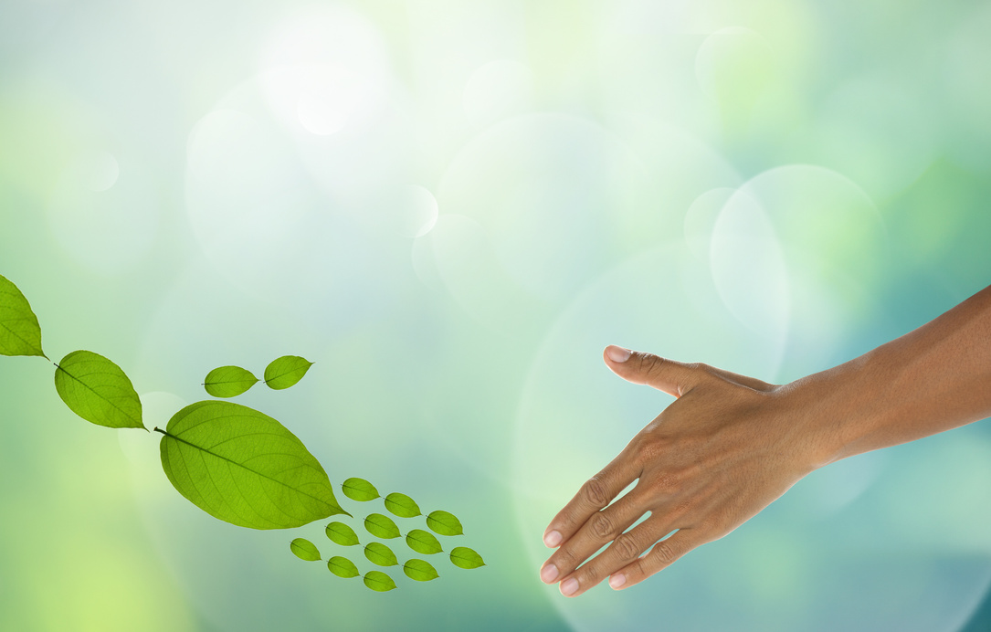 Eco-friendly concept.